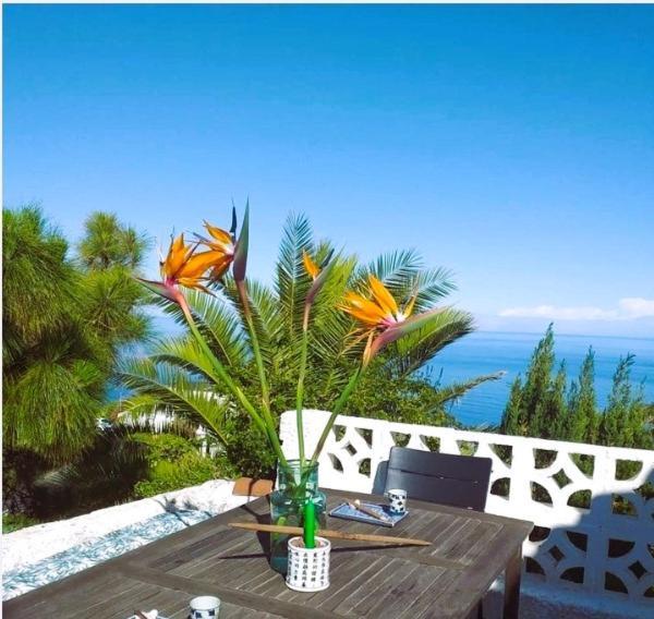 Zenrepublic, Your Private Villa With Outdoor Jacuzzi & Pool With Stunning Ocean Views Puntillo Del Sol Exterior photo